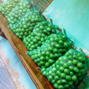 Umbu Gigante – Saco 24 kg