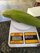 Semente milho 3066 BTMAX - Resistente Milho Verde e Silagem - 10.000 sementes